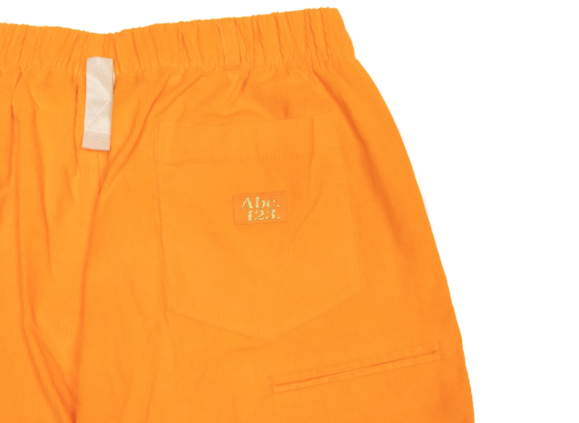 Advisory Board Crystals Abc. 123. Corduroy Work Pants in Carnelian Orange