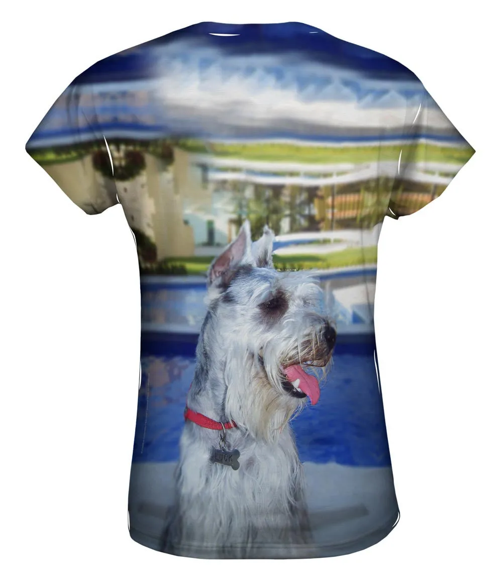 Aquatic Schnauzer