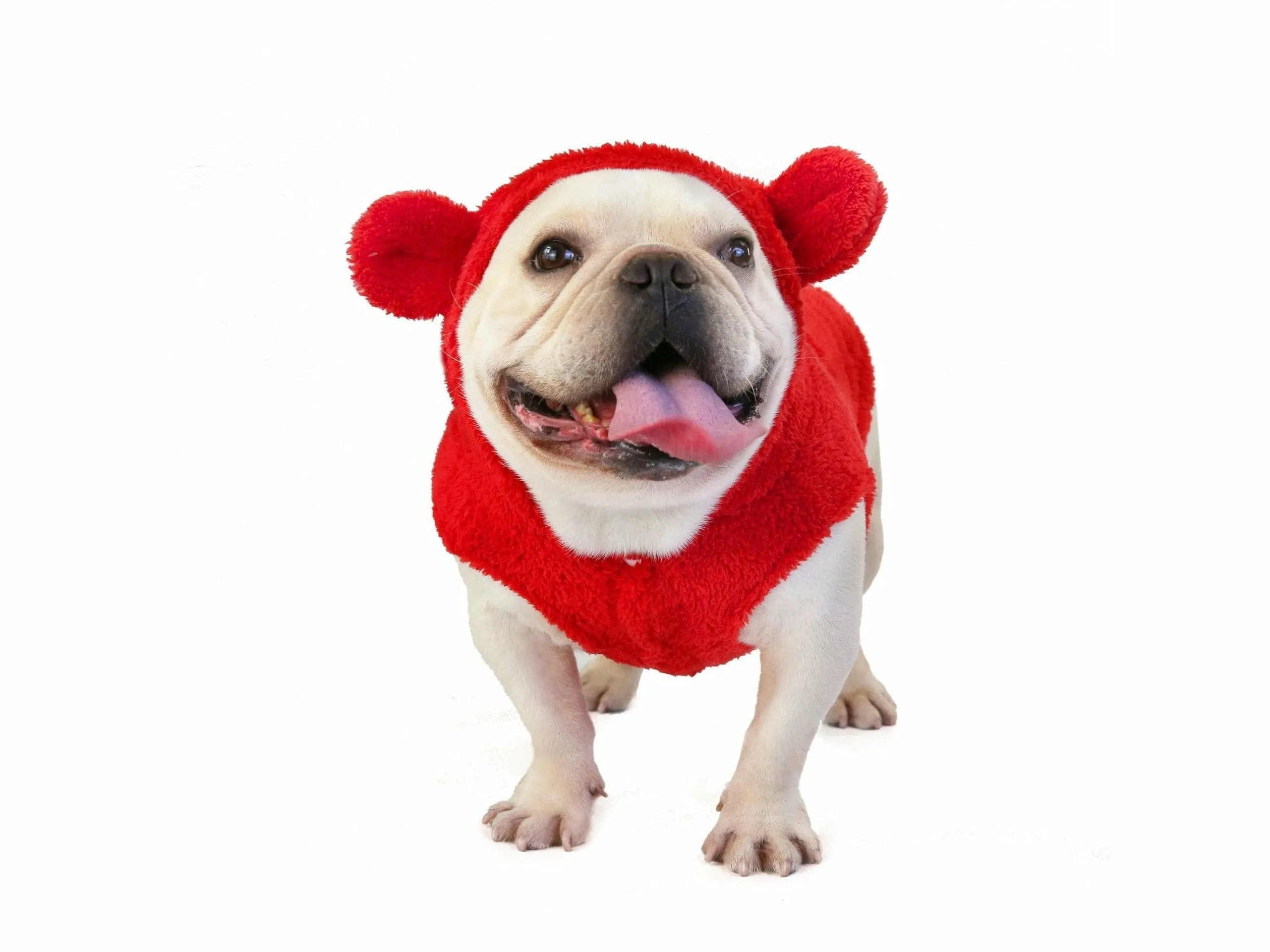 dog clothes Red S KLN-1726