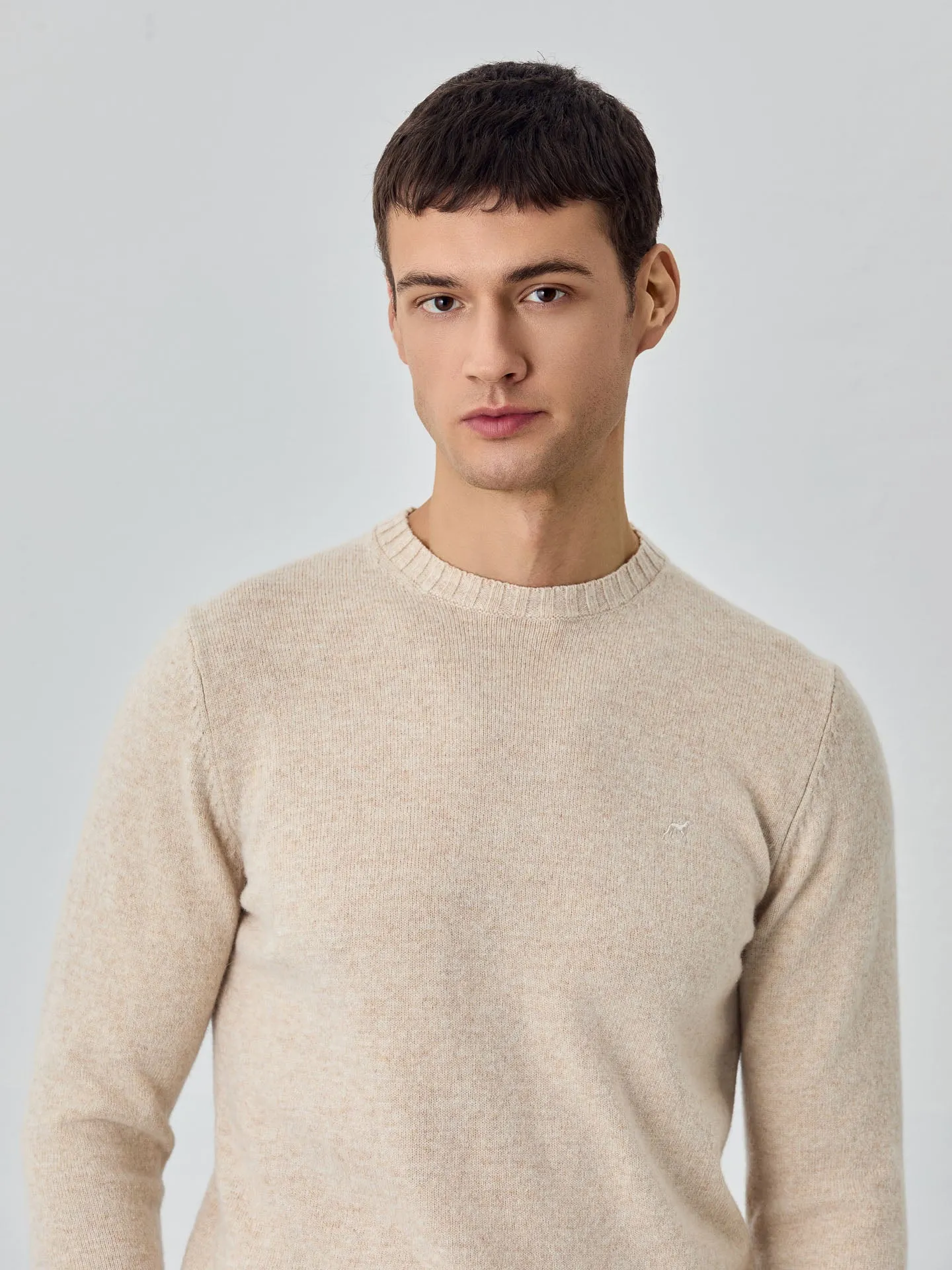 Machine Washable Crew Neck Sweater With Long Sleeves In Lambswool