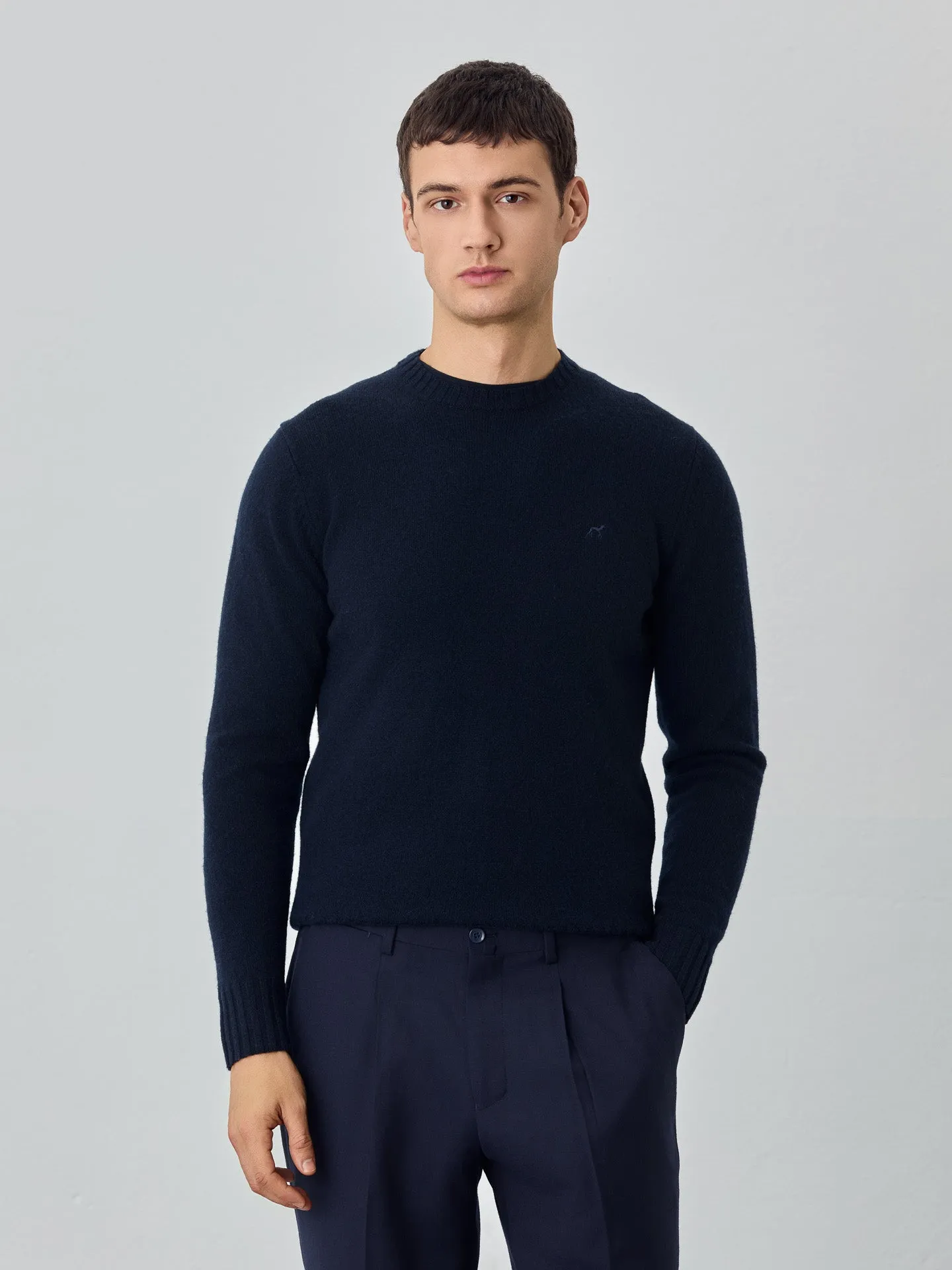 Machine Washable Crew Neck Sweater With Long Sleeves In Lambswool