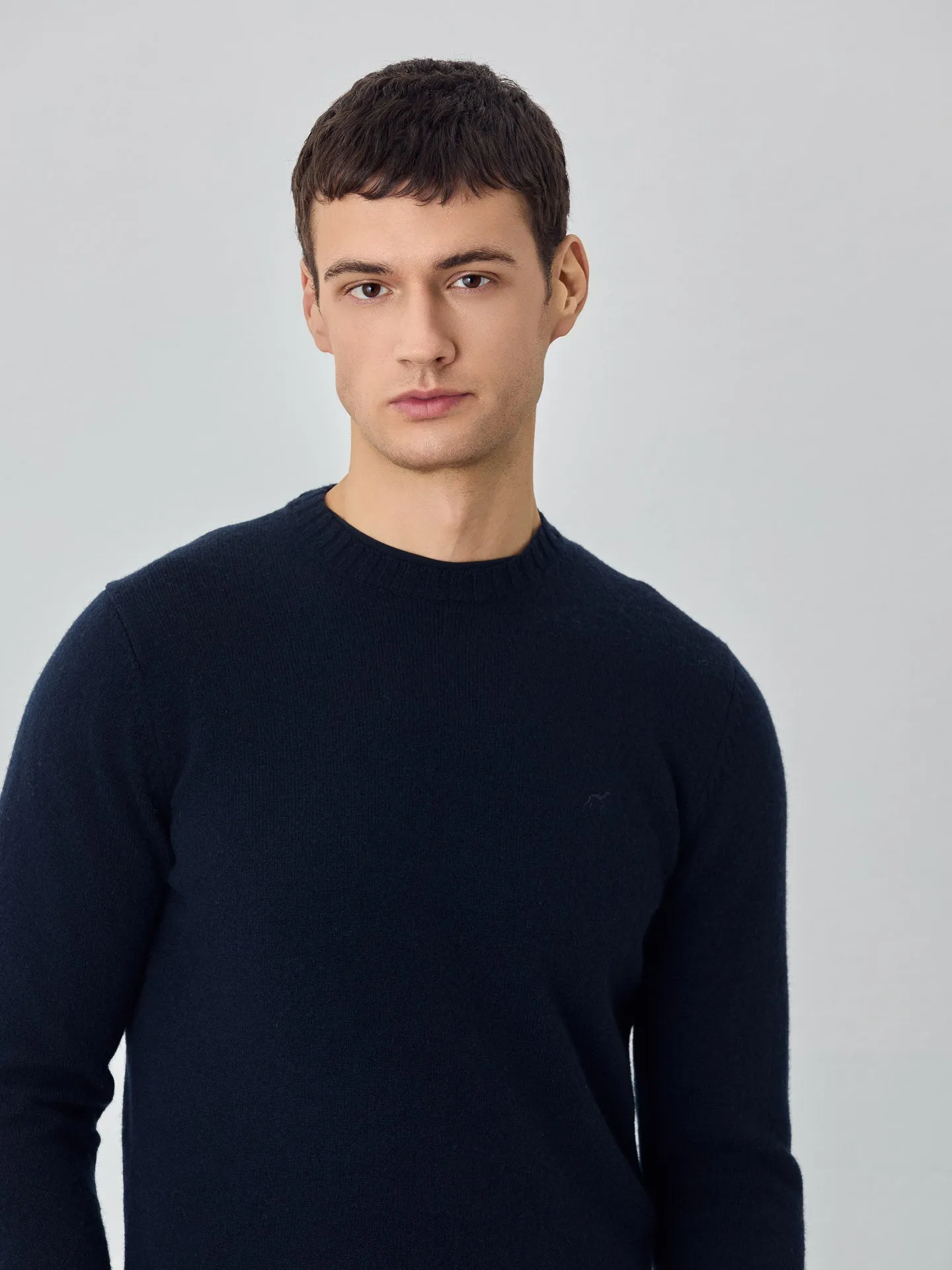 Machine Washable Crew Neck Sweater With Long Sleeves In Lambswool