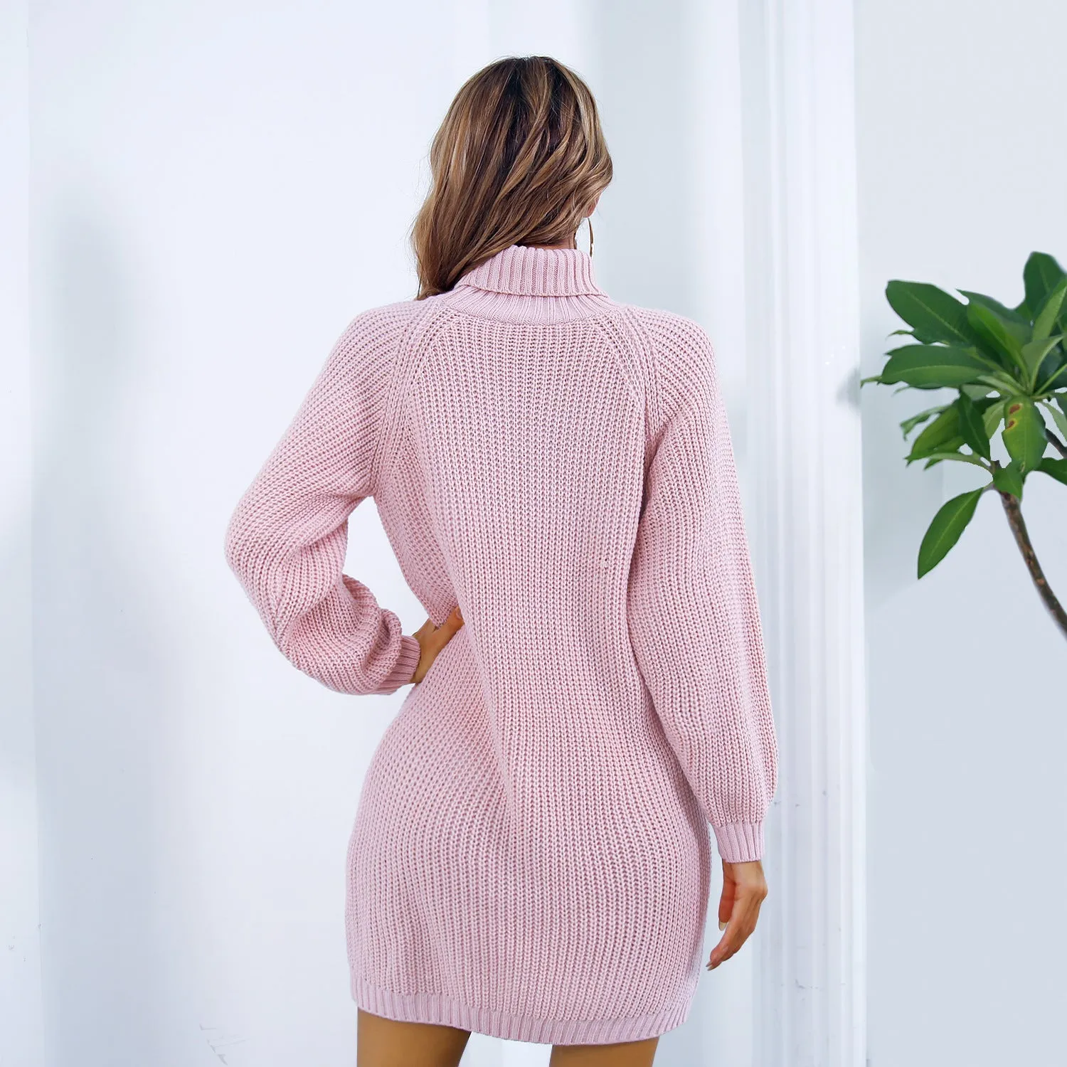 Women’s Winter Turtleneck Long Sweater Dress With Button Design Leisure Clinch Long Sleeve Base Sweater