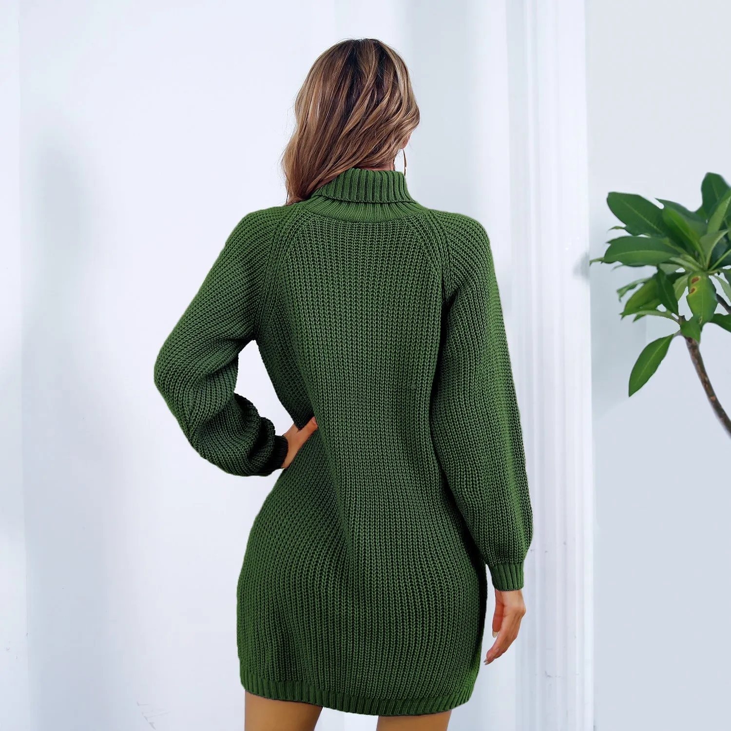 Women’s Winter Turtleneck Long Sweater Dress With Button Design Leisure Clinch Long Sleeve Base Sweater